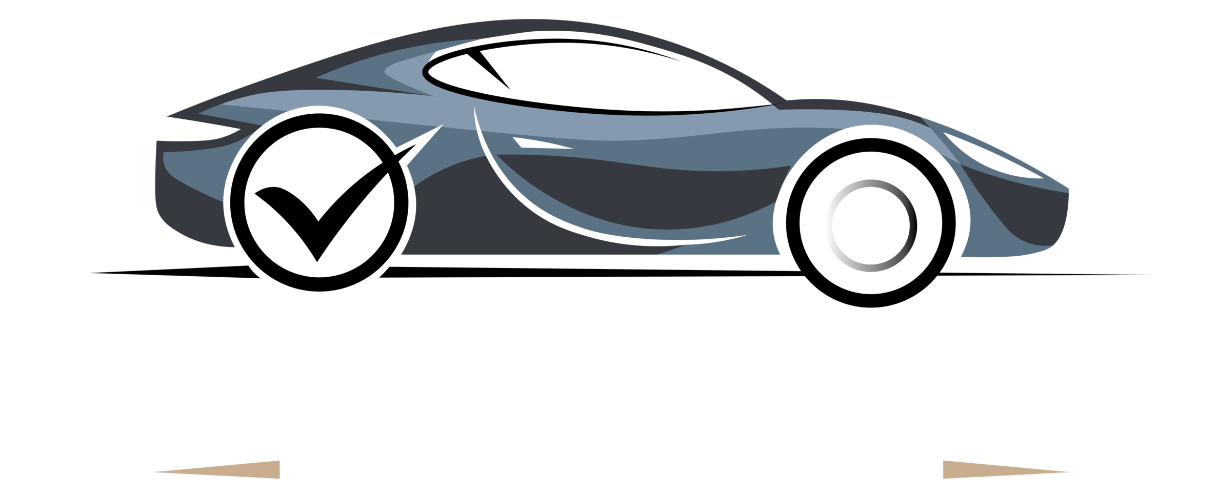 Vehicle Auditor